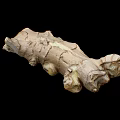 Fresh Raw Ginger Root Natural Organic Vegetable With Rough Skin Texture